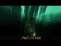 K-391 \u0026 RØRY - Aurora (Linko Remix)