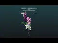 Lane 8 & Kasablanca - Run (Sultan + Shepard Remix)