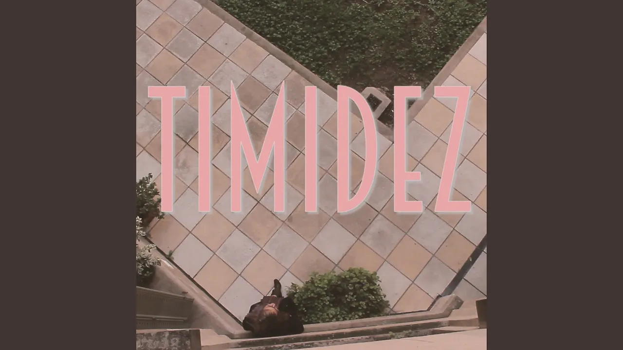 Timidez Timidez
