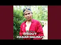 Download Lagu Pedut Pasar Ngunut