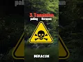 Download Lagu 3 Tanaman paling beracun versi kami#facts #faktaunik #ilmupengetahuan #shortedukasi #faktaalam