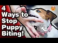 How to get a Pit bull Puppy to stop BITING