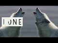 Download Lagu Release: Make Out Molly -  Lone wolves \u0026 Gullible girls
