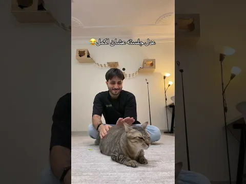 معقولة فيه قطط كذا؟😂 #cat #هتضحك #قطط #كوميديات #اكسبلور #funny