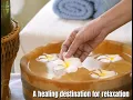 An oasis for your mind body and spirit