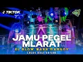 Download Lagu DJ JAMU PEGEL MLARAT TERBARU 2K24 • SLOW BASS MARGOY COCOK BUAT GOYANG KARNAVAL‼️RF MUSIK 🔥