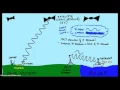 5 Minute Modules - NTRIP RTK and Base Stations
