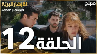 مسلسل الأزهار البري ة الحلقة 12 مدبلج Yaban Çiçekleri 