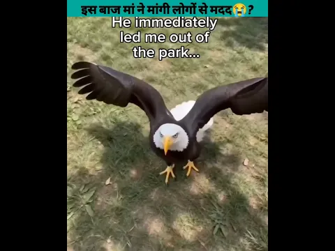 इस बाज मां ने मांगी लोगों से मदद😭?