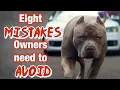 8 MISTAKES new American Bully Owners Make