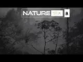 Rain & Thunderstorm Sounds, Nature & Rain Sounds to Relax, Meditate, Study & Fall Asleep