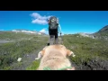 Download Lagu Mountain hiking with my dog in the Swedish fells