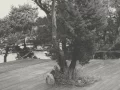 Borrowed Identity & Mechanical Soul Brother - "Groove On" - Tenderpark 017