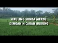 Download Lagu SERULING SUNDA MERDU DENGAN KICAUAN BURUNG ENAK DI DENGAR UNTUK RELAKSASI