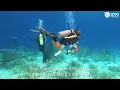 Unlock Exclusive Travel Savings with ID90