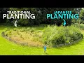 Download Lagu Japan's Tiny Forests are Thriving in Britain - here's why