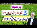 Download Lagu Three Best Varieties of Berseem fodder || Crop Reformer