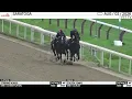 Work of the Day at Saratoga Golden Tempo Stirring Words worked 4 Furlongs on August 2nd 2026