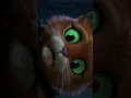 Download Lagu Puss in boots 4K edit