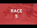 Monmore Greyhounds - Races on Monday 3rd August 2026