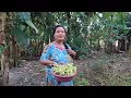 Download Lagu RAMBAN KEMBANG KATES GANTUNG