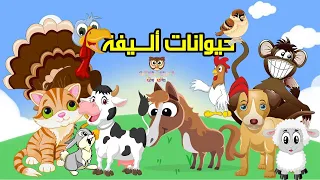 أسماء الحيوانات الأليفة تعرف عليها     قناة شاهين أطفال دندنها