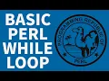 Perl While Loop - Beginners Tutorial 2022