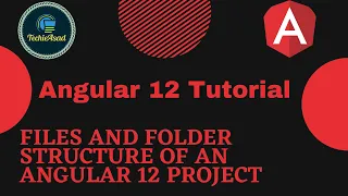 4 - Files and Folder Structure of an Angular 12 Project Angular 12 Tutorial