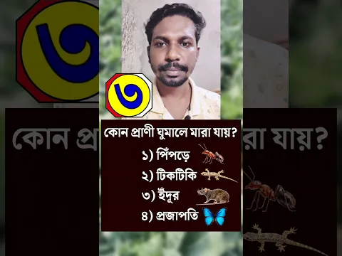 কোন প্রাণী ঘুমালে মারা যায় ? gk/Quiz/ general knowledge / জিকে / কুইজ