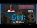 DJO - LINK Colour English Coded