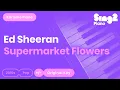 Download Lagu Ed Sheeran - Supermarket Flowers (Karaoke Piano)