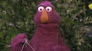 Sesame Street Telly Plays the Triangle with Big Bird