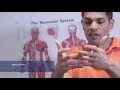 Download Lagu Envision Physiotherapy, Vancouver, BC