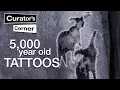 5 000-year-old tattoos from Ancient Egypt I Curator s Corner S3 Ep6
