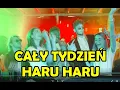 Lagu Mallancia  - Cały Tydzień Haru Haru (BuLi \u0026 Bass New Vocal Mix) - Piosenka na weekend