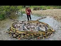 Download Lagu Diep's primitive fish trapping skills, using bamboo to create a fish trap, harvested 14kg of fish.