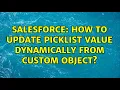Salesforce How to update picklist value dynamically from Custom object 2 Solutions