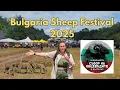 Download Lagu This Festival is INSANE in Bulgaria! #bulgaria #travel