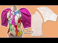 Round PUFF SLEEVE Bodice Pattern Tutorial Detailed Pattern Sewing Tutorial Kim Dave