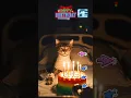 Download Lagu Cute cat happy birthday to you #shortsfeed#catshorts#viral#viralvideo#viralshorts#viralvideos#gatito