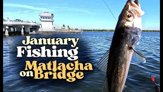 Fishing Matlacha Bridge in January
