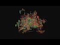 Matthew Halsall - Only You (Visualized)