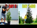 3 MISTAKES You MUST AVOID Before Planting Thuja Green Giant Trees for Privacy
