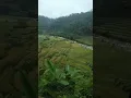 Download Lagu Ebiet G Ade | Berita Kepada Kawan | Jl. Garut - Tasikmalaya, Tanjungsari, Kec.Salawu, KabTasikmalaya