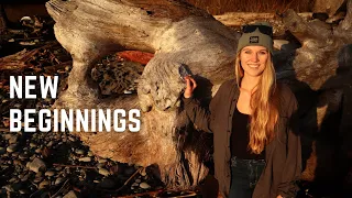 New Year, New Beginnings…