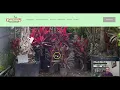 Garmizo s Inc Nursery