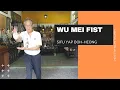 Download Lagu Master Yap Boh-Heong - Wu Mei Pattern