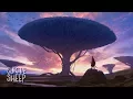 Download Lagu MitiS - Moments (feat. Adara)