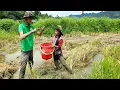 Download Lagu Two orphans went to the field together to pick snails, catch eels and then sell them.