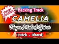 Download Lagu Backing Track Camelia Karaoke Tanpa Melodi Gitar
